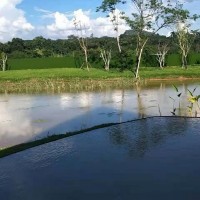 百泰-雨林湾售楼部