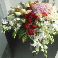 鲜花